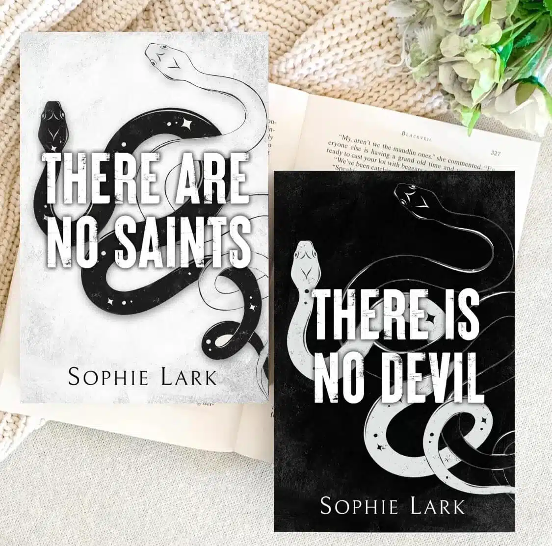 Sinners Series