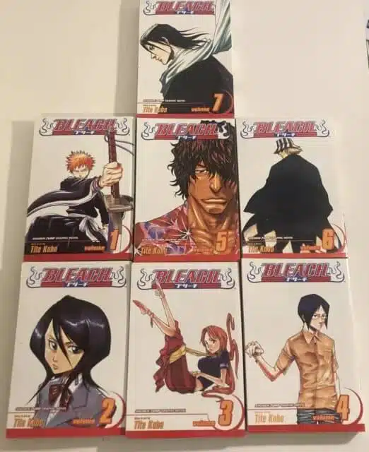 Bleach Manga series