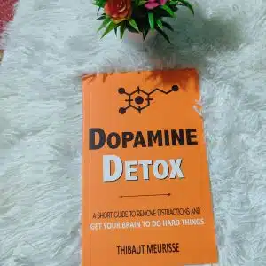 Dopamine Detox