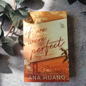 If We Were Perfect